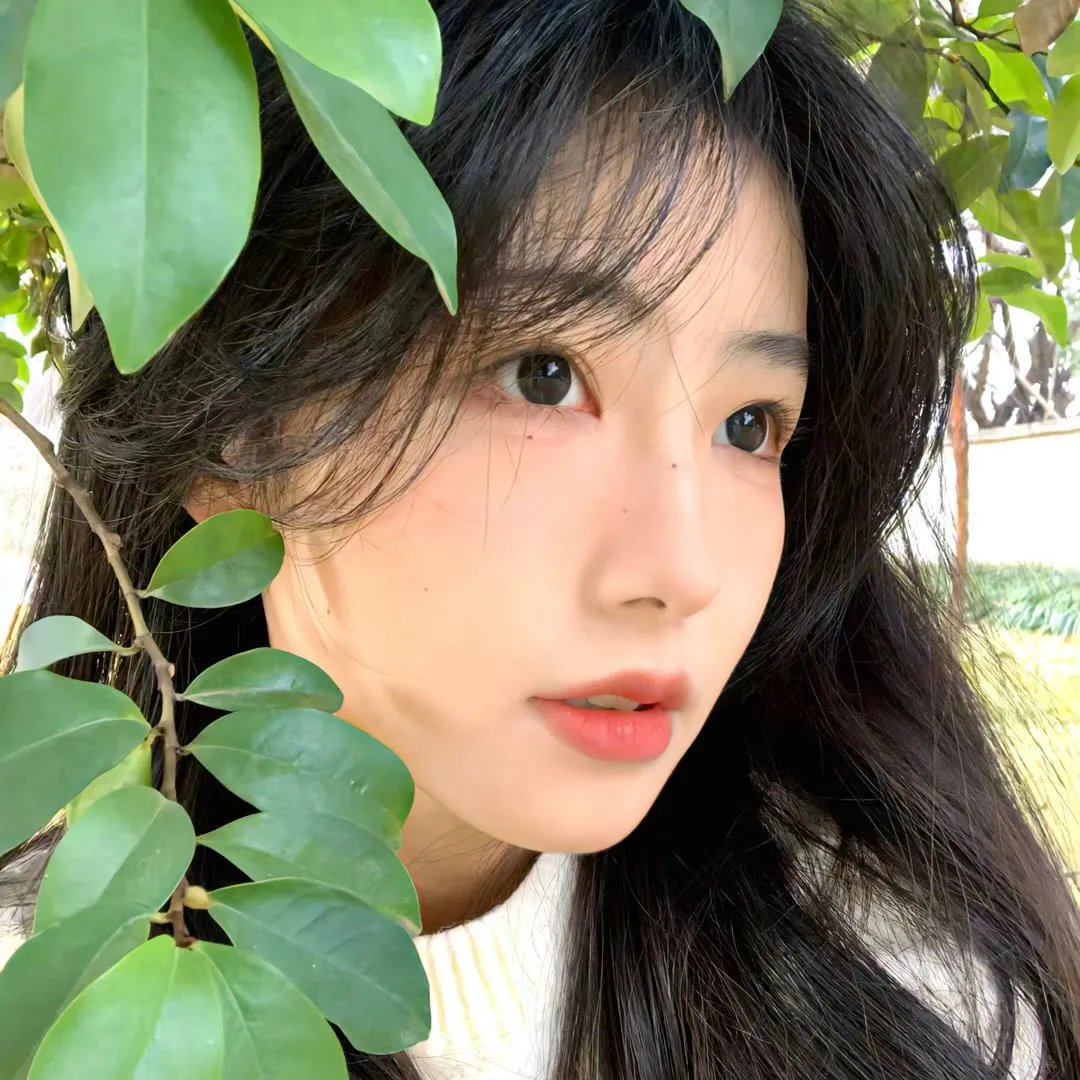 小鱼历险记